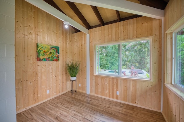 spare room featuring light wood-type flooring, lofted ceiling, and plenty of natural light