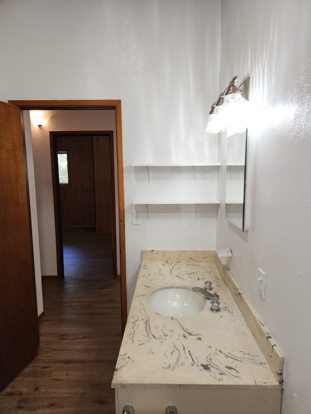 bathroom featuring wood finished floors and vanity