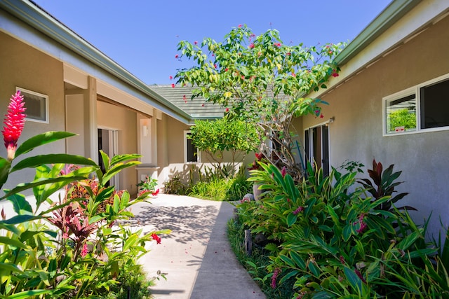 view of yard with a patio area