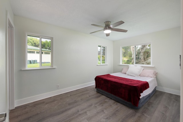 bedroom with multiple windows, dark wood-type flooring, and ceiling fan