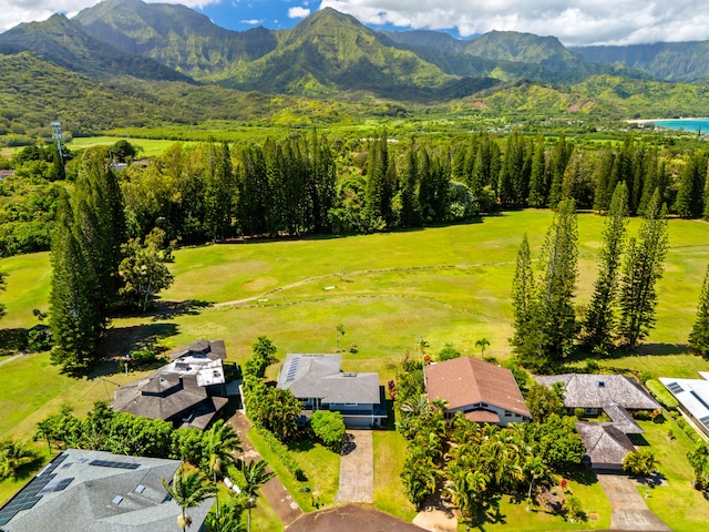 bird's eye view with a mountain view