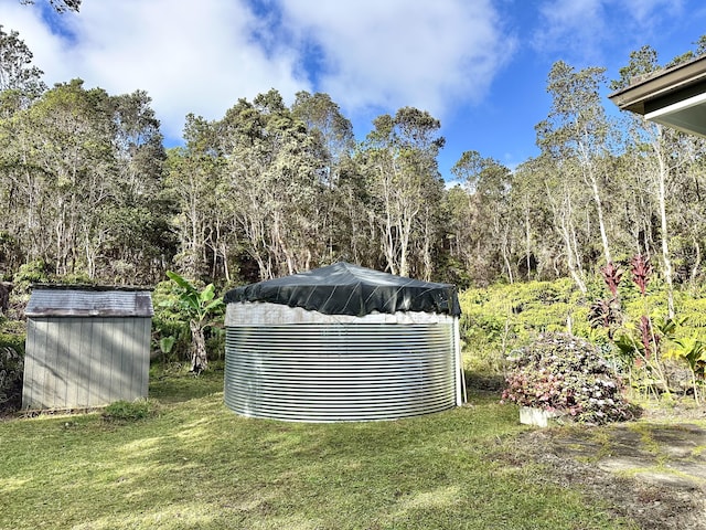 view of yard featuring a storage shed