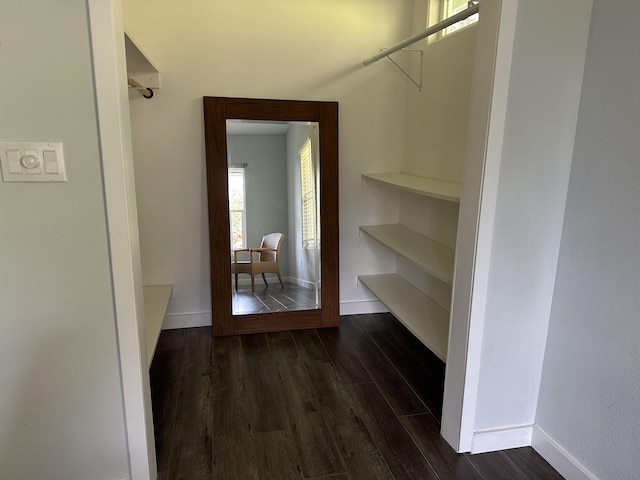 walk in closet with dark wood-type flooring