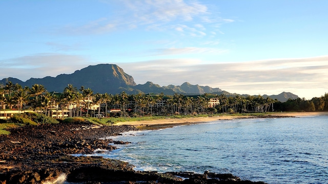 property view of water featuring a mountain view