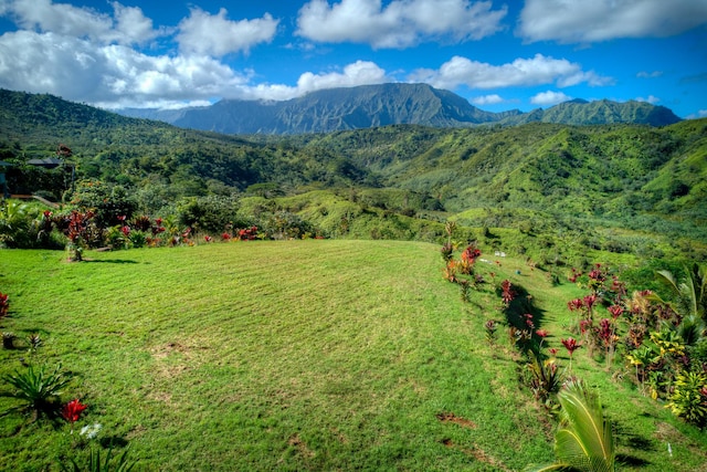 Halaulani Pl, Kilauea HI, 96754 land for sale