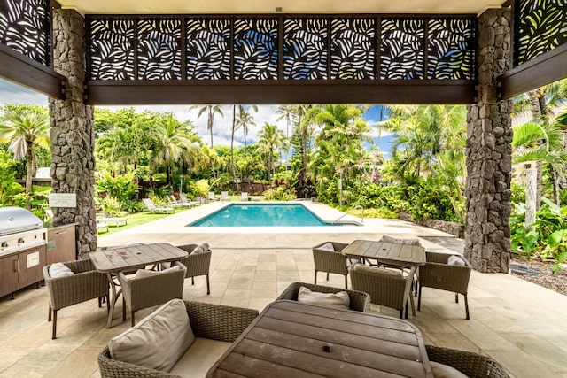 view of pool with a patio area and a grill