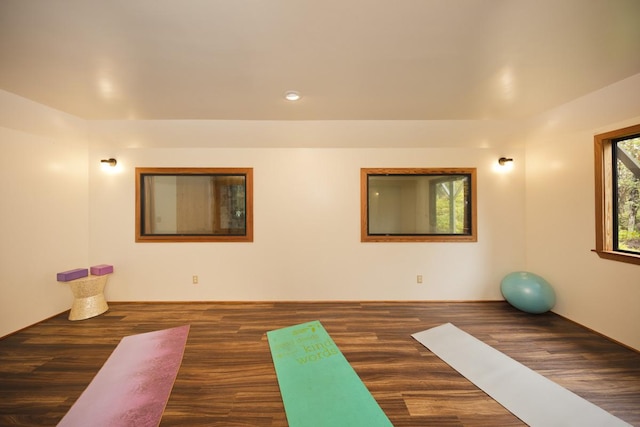 workout area featuring dark hardwood / wood-style floors