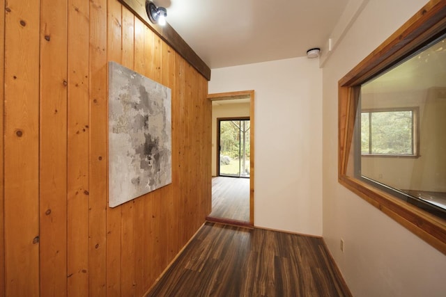 corridor with wooden walls and dark hardwood / wood-style flooring