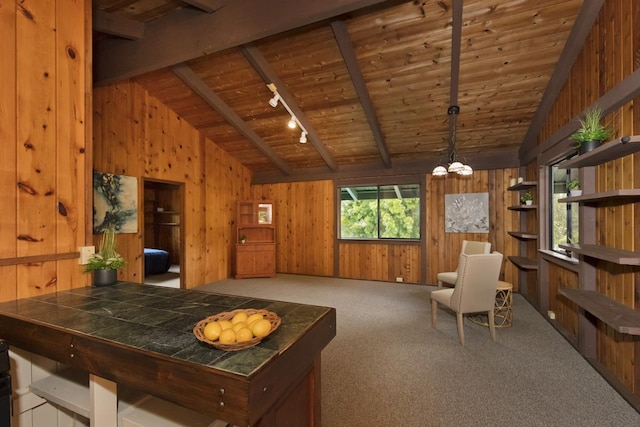 interior space featuring lofted ceiling with beams, rail lighting, wooden ceiling, and wooden walls