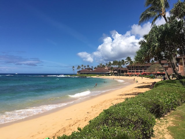 view of water feature with a beach view