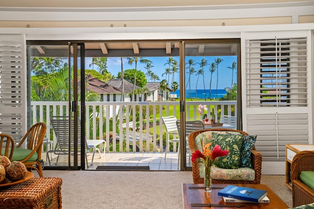 doorway to outside featuring carpet flooring and plenty of natural light