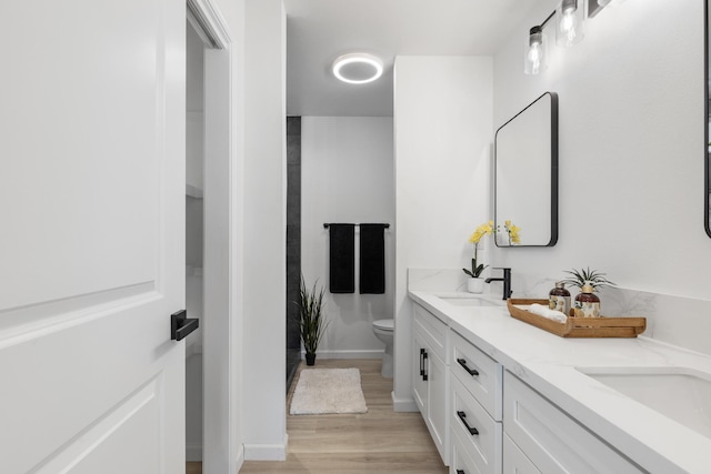 bathroom featuring vanity, hardwood / wood-style flooring, and toilet