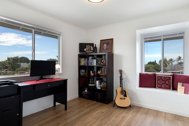 office featuring a healthy amount of sunlight, wood-type flooring, and crown molding