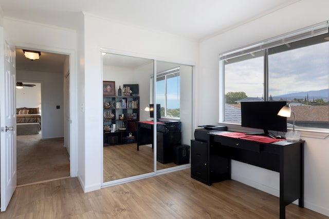 office space with ceiling fan and light hardwood / wood-style flooring