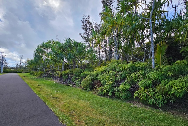 Listing photo 3 for Maikoiko St, Pahoa HI 96778