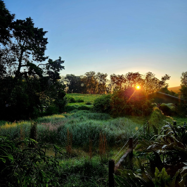 view of nature at dusk