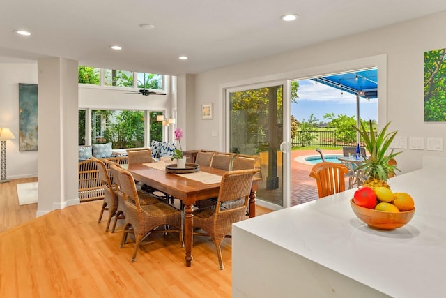 dining area with ceiling fan and light hardwood / wood-style floors