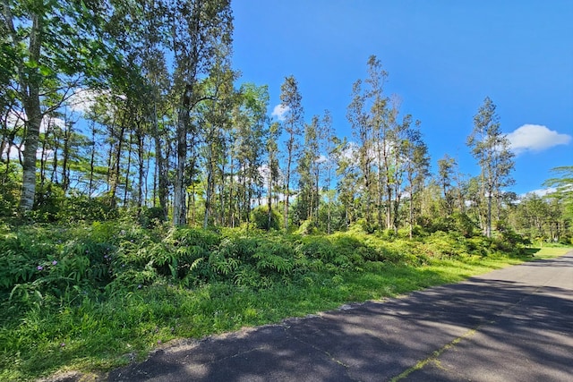 Listing photo 2 for Church Rd, Pahoa HI 96778