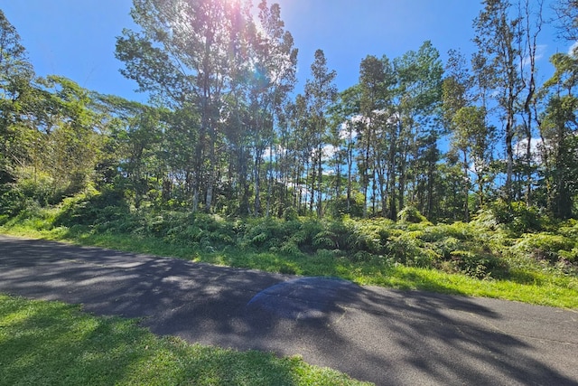 Listing photo 3 for Church Rd, Pahoa HI 96778