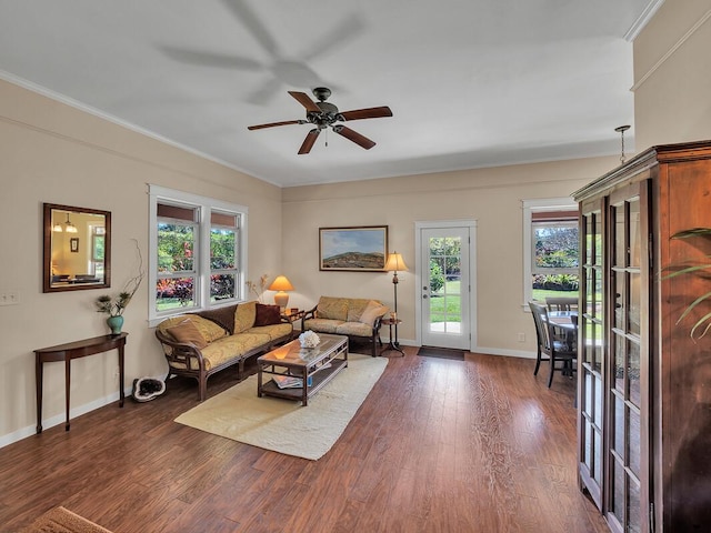 living room featuring crown molding, dark wood-type flooring, and ceiling fan