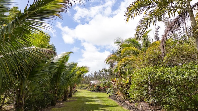 view of community with a yard