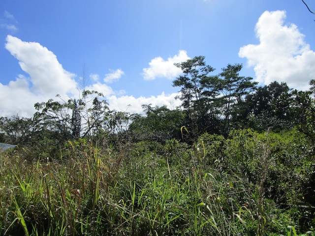 Listing photo 2 for 10th Ave, Keaau HI 96749