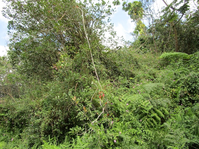 Listing photo 2 for Flower Rd, Pahoa HI 96778