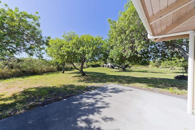 view of yard with a patio area