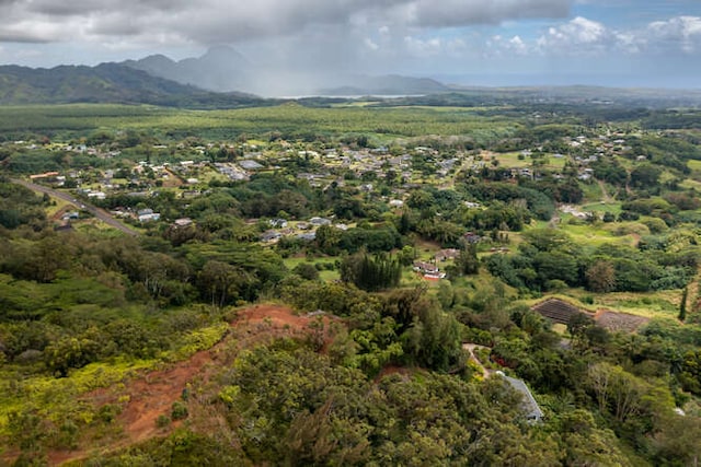 aerial view with a mountain view