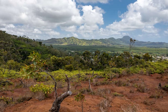 property view of mountains