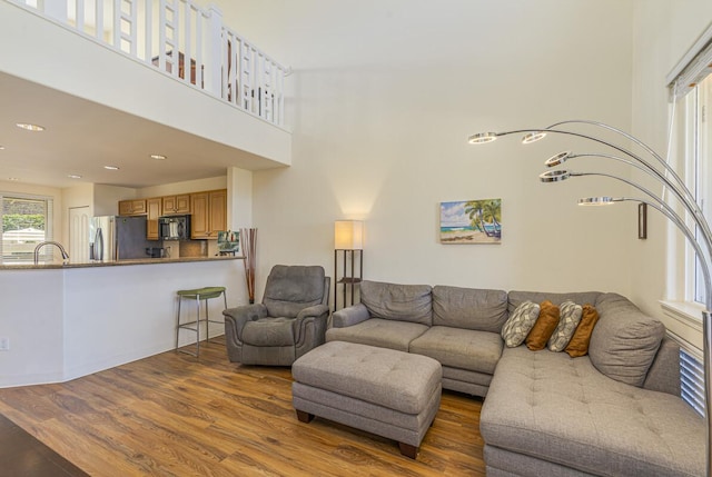 living room featuring dark wood-type flooring