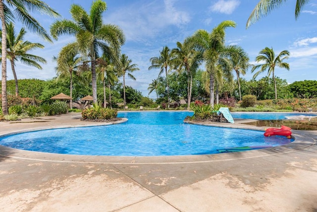 view of swimming pool