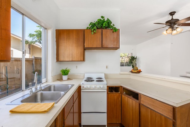 kitchen featuring ceiling fan, white electric range oven, and sink