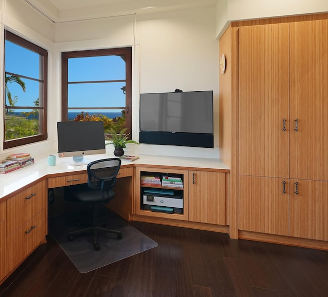 home office with dark hardwood / wood-style flooring