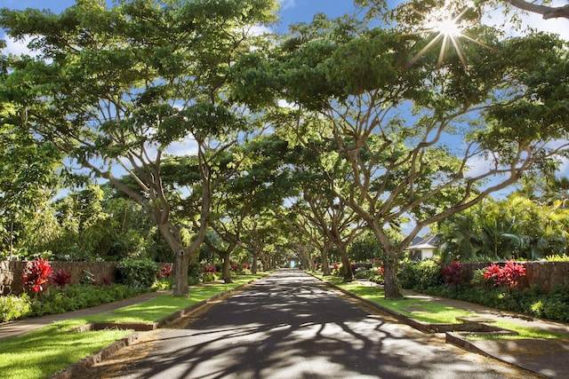 view of road