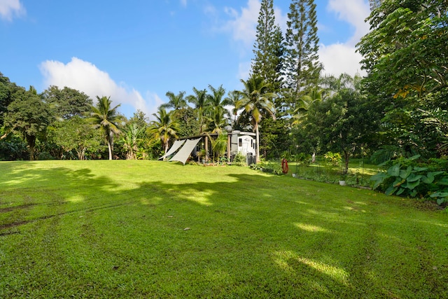 view of yard with a shed