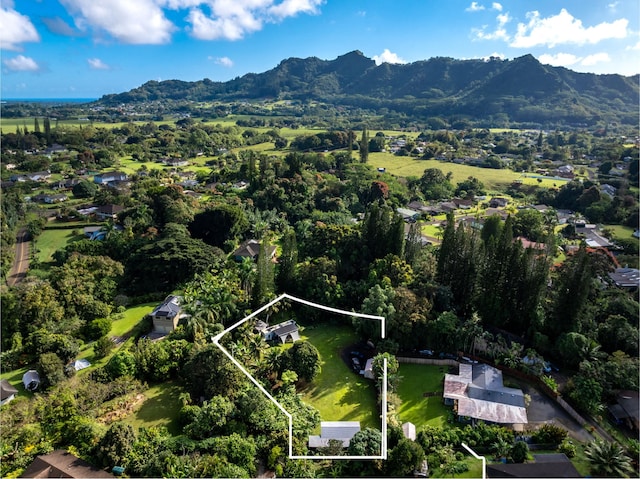 aerial view featuring a mountain view