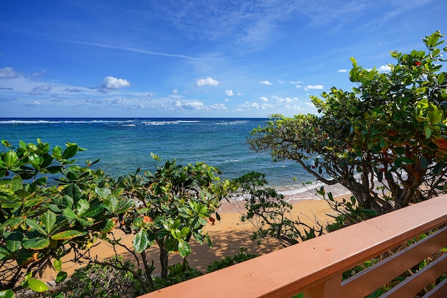 property view of water featuring a view of the beach