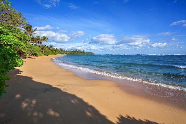 view of water feature featuring a view of the beach