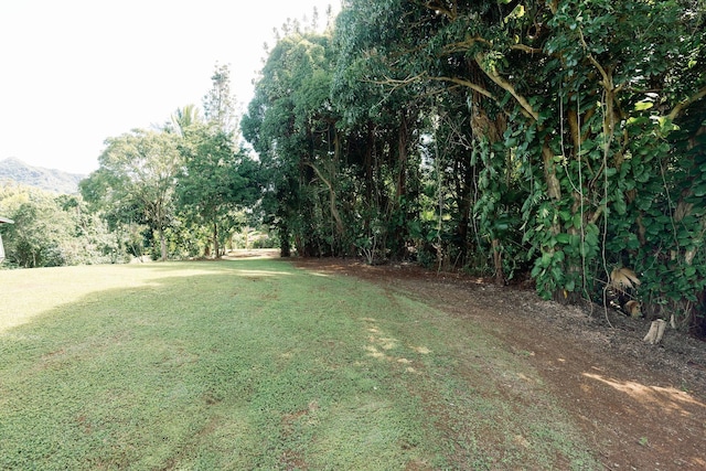 Listing photo 3 for 6546 Kuamoo Rd Unit 2, Kapaa HI 96746