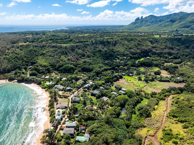 drone / aerial view with a water and mountain view