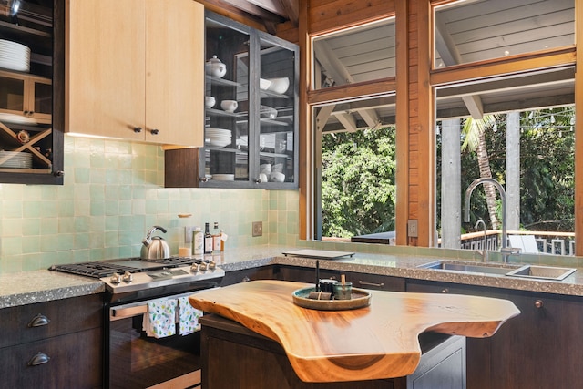 kitchen with a wealth of natural light, stainless steel gas range, tasteful backsplash, sink, and dark brown cabinets