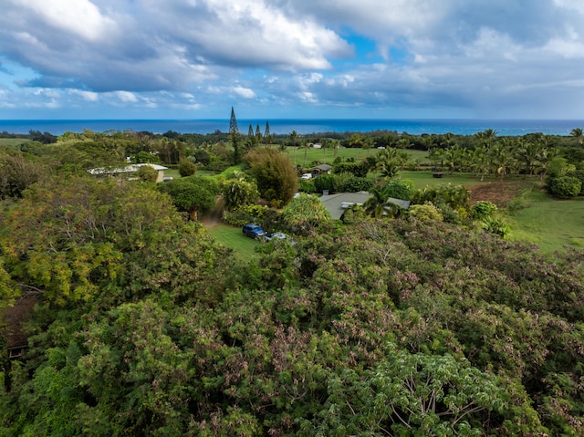 7549-A Koolau Rd, Kilauea HI, 96754 land for sale