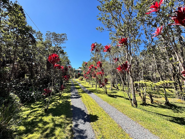 view of property's community with a yard