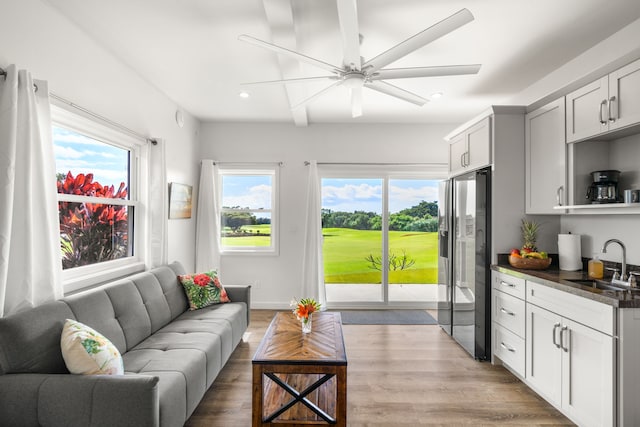 living room featuring ceiling fan, sink, and hardwood / wood-style floors