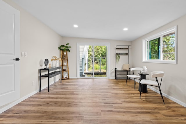 living area featuring plenty of natural light and light wood-type flooring