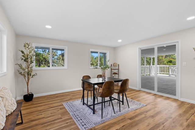 dining room with hardwood / wood-style flooring