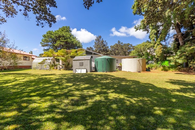 view of yard featuring a shed