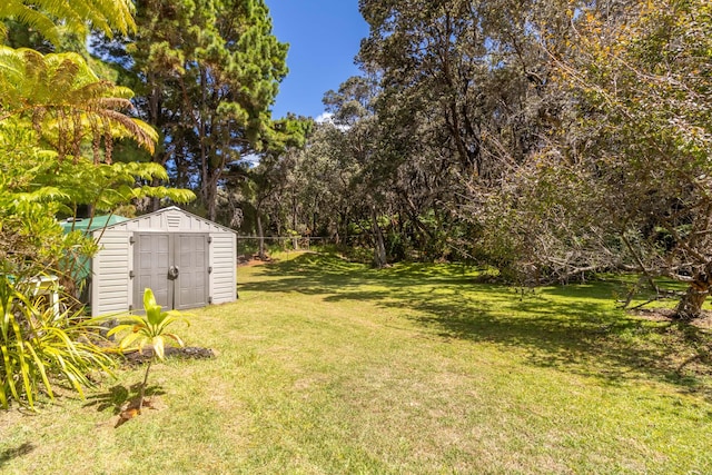 view of yard with a storage shed