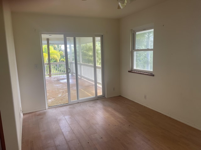 empty room featuring ceiling fan, plenty of natural light, and light hardwood / wood-style floors